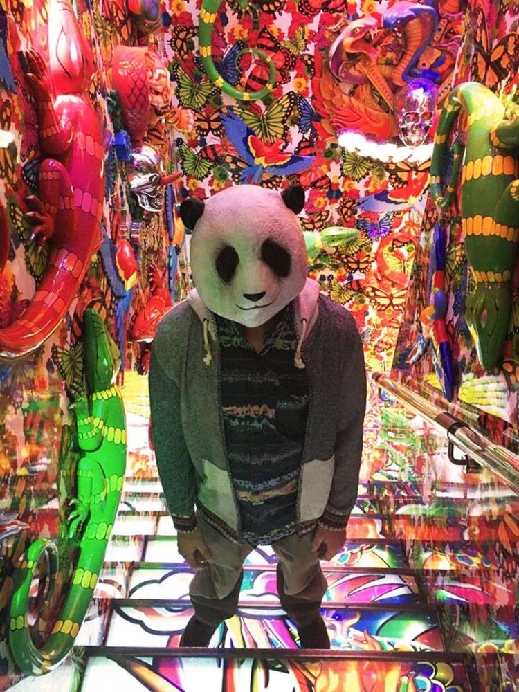 Cognito standing on a staircase looking up at the camera, wearing a panda head, grey jumped and black shirt. The background is a trippy multicoloured mirror room.