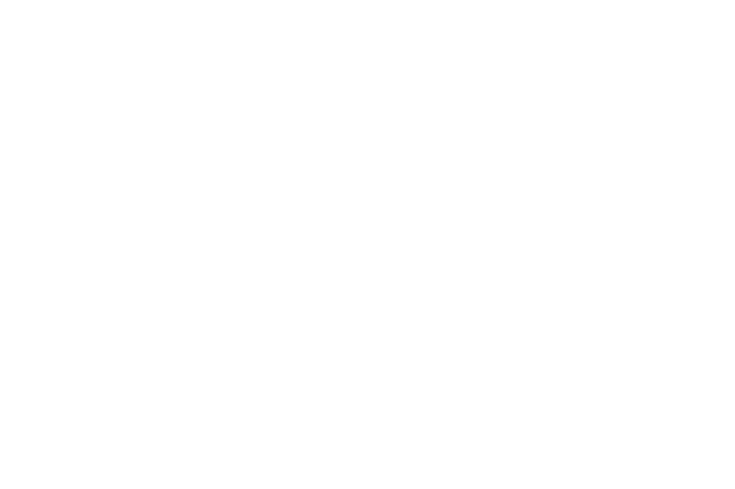 Australian Government RISE Fund